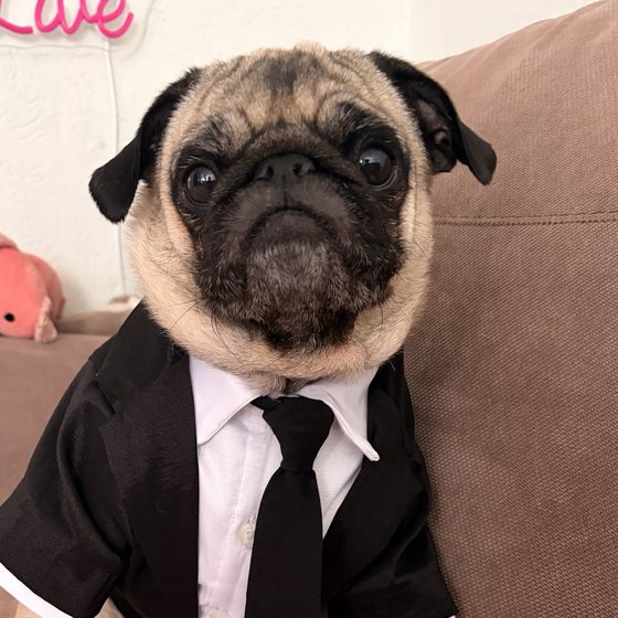 Emma de traje negro y corbata